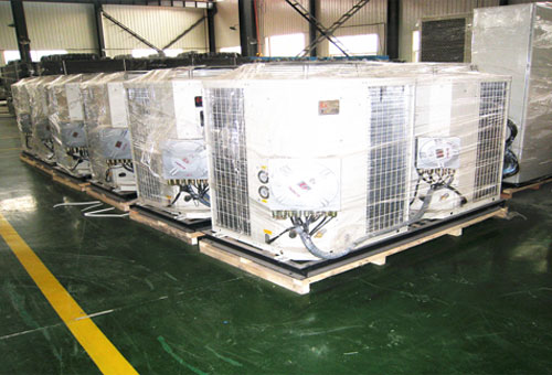 �������{