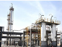 �V���A������