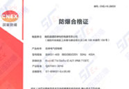 ��(n��i)������늚���ƹ�IIC T4 IP66)