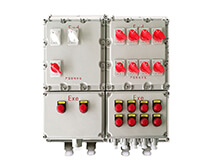 �Ռ����������S��Ҫ���ƵĮa(ch��n)Ʒ�l��